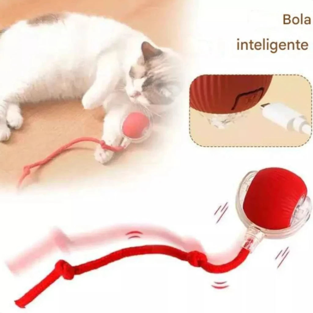Bola Inteligente e Interativa para Gatos