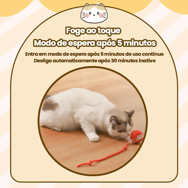 Bola Inteligente e Interativa para Gatos