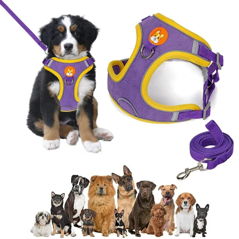 Coleira Peitoral Ajustavel - Para Cães Gatos, Material Nylon Ergonômico Seguro