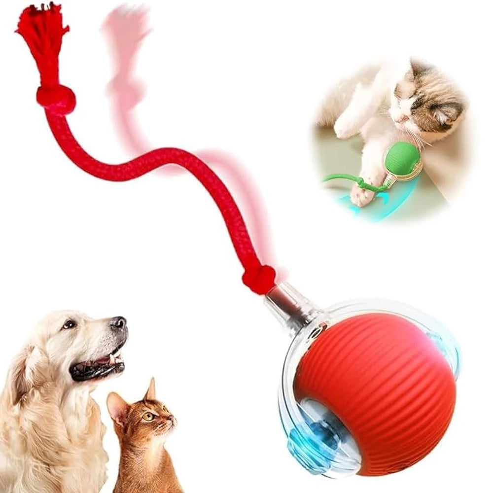 Bola Inteligente e Interativa para Gatos