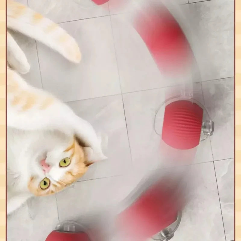Bola Inteligente e Interativa para Gatos