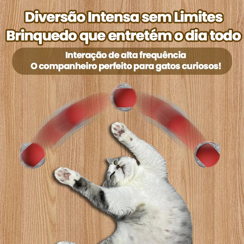 Bola Inteligente e Interativa para Gatos