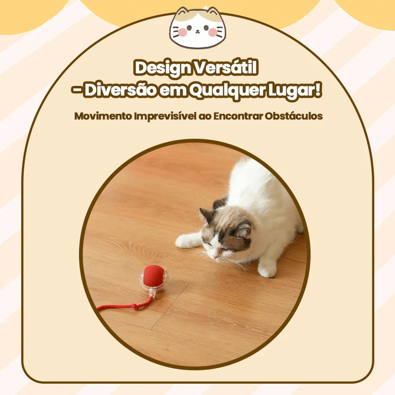 Bola Inteligente e Interativa para Gatos